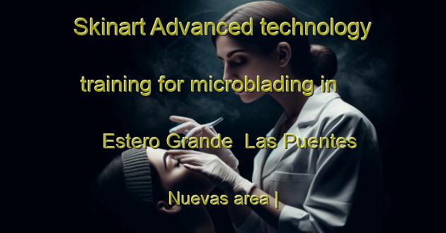 Skinart Advanced technology training for microblading in Estero Grande  Las Puentes Nuevas area | MicrobladingTraining | MicrobladingClasses | SkinartTraining-Mexico